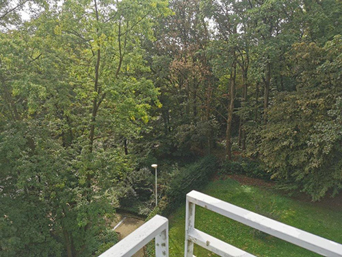 immobilie, antaeus, immobilien, wuppertal, cronenberg, elberfeld, barmen, heckinghausen, vohwinkel, langerfeld, eigentumswohnung, einfamilienhaus, etagenwohnung, mehrfamilienhaus, zweifamilienhaus, nrw
