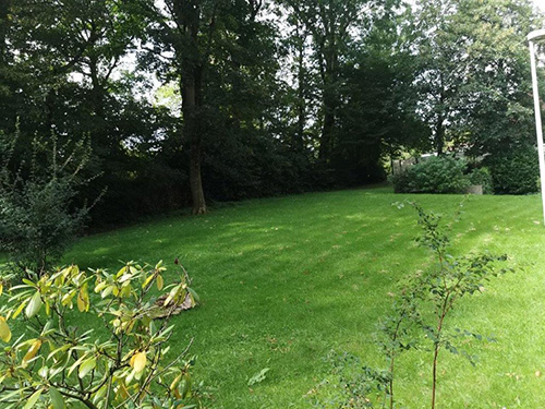 immobilie, antaeus, immobilien, wuppertal, cronenberg, elberfeld, barmen, heckinghausen, vohwinkel, langerfeld, eigentumswohnung, einfamilienhaus, etagenwohnung, mehrfamilienhaus, zweifamilienhaus, nrw